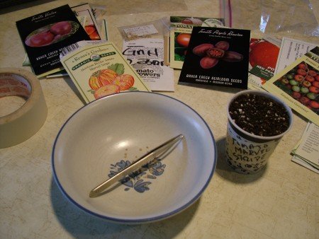 Seeding Tomatoes