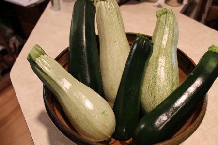 Ortolana di Faenza and Raven Zucchini