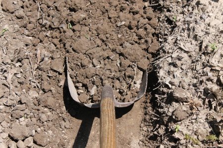 Flat Bottomed Scoop or Grain Shovel