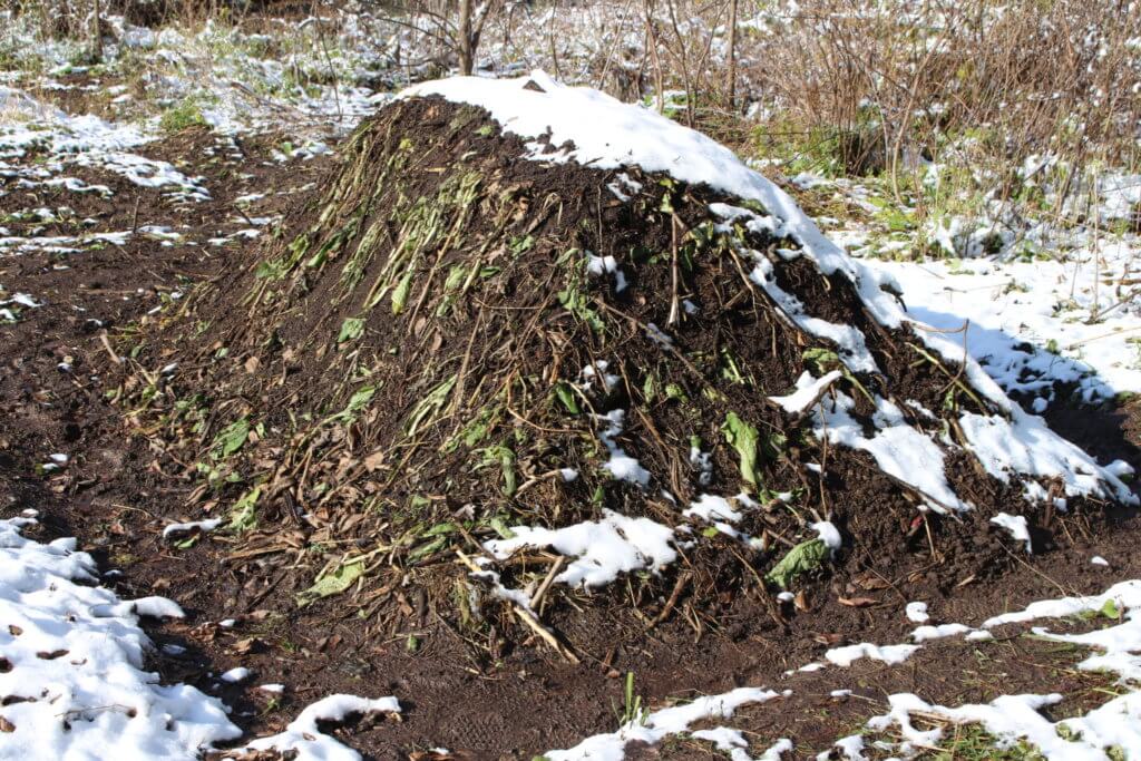 Snowy Compost Pile