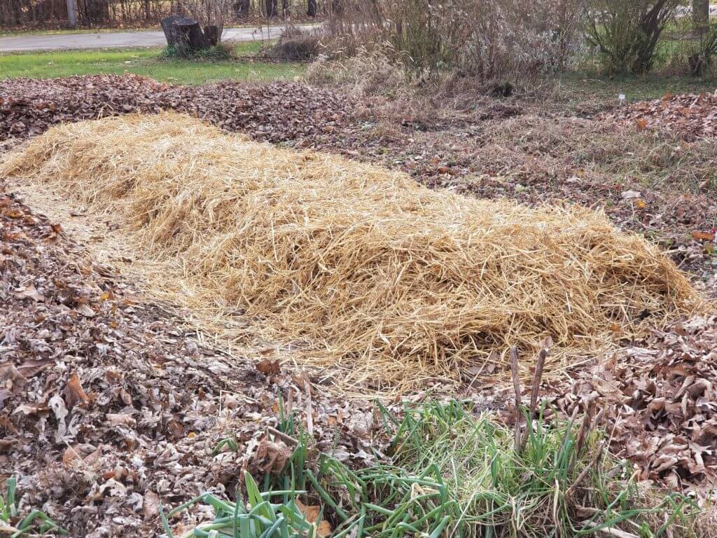 Straw Covered Bed