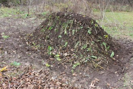 Finished Compost Pile
