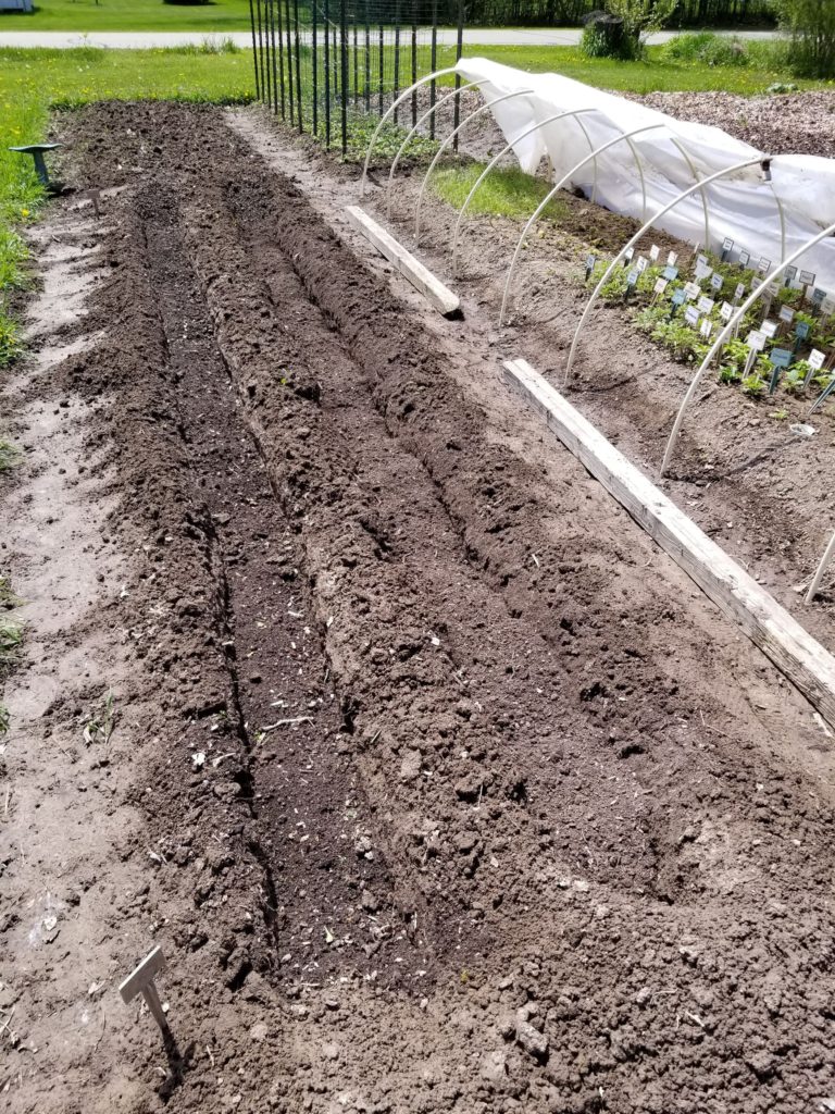 Covered With Compost