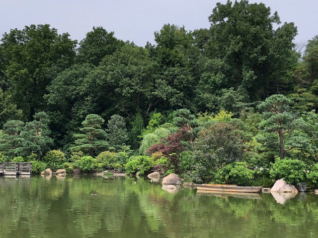 Anderson Japanese Garden pond and trees