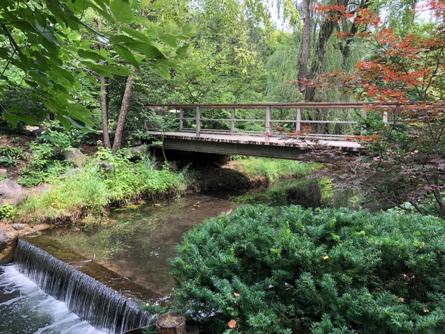 Anderson Japanese Garden pond dam with footbridge