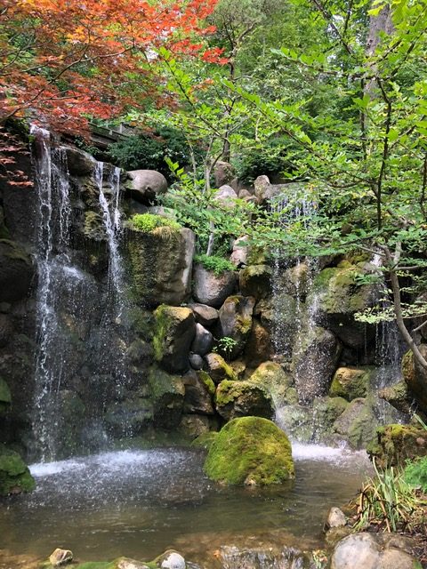 Anderson Japanese Garden waterfall