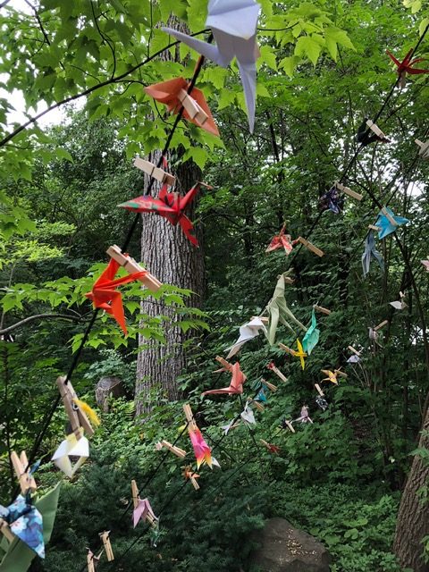 Anderson Japanese Garden paper cranes display