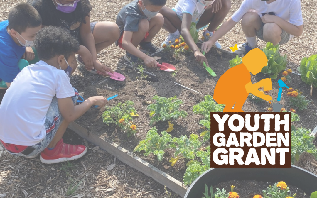 Several elementary aged children are crouching around a garden bed that has marigolds and lettuce planted in it. The children are using colorful trowels to dig in the soil. A logo with the words Youth Garden Grant is featured in one corner of the image.
