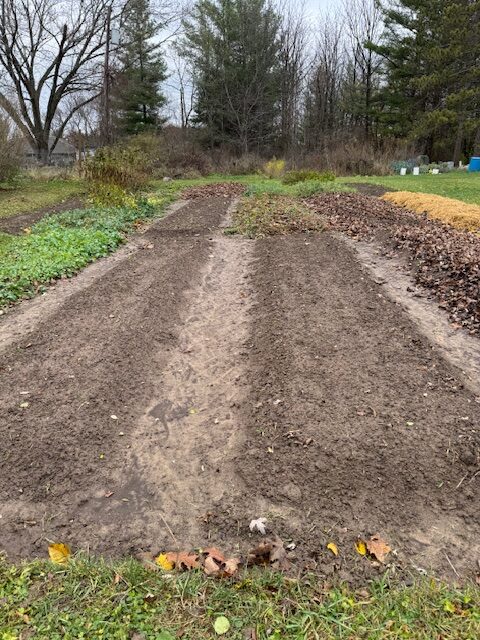 Open Raised Beds