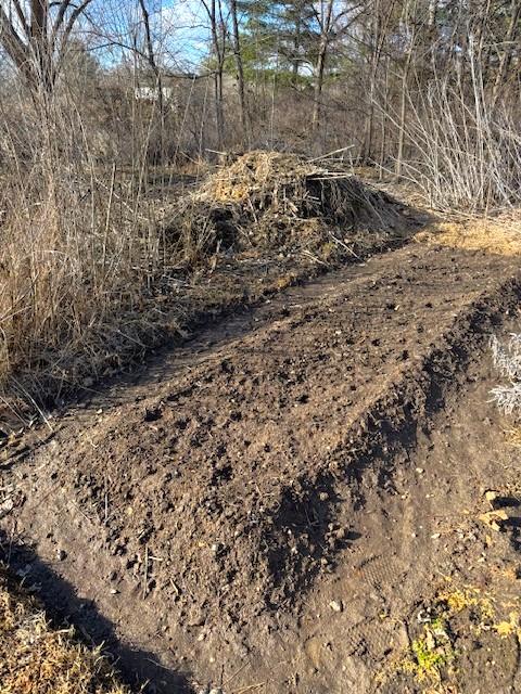 Compost Pile