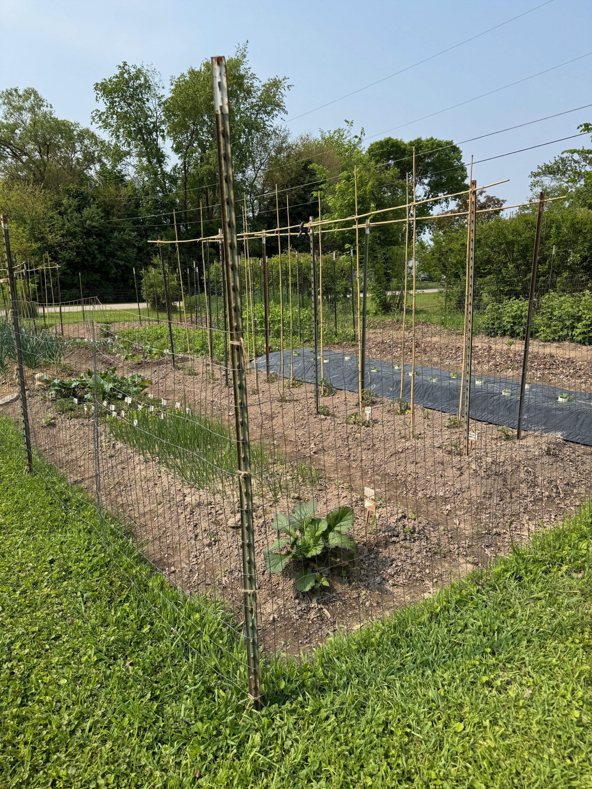 North Garden Fence