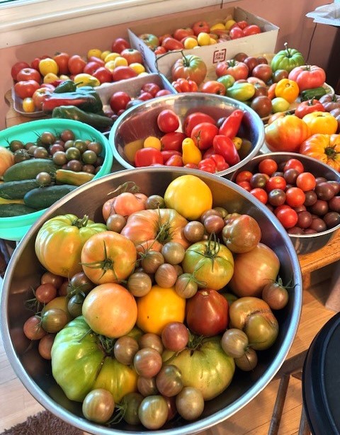 Got Lots of Tomatoes